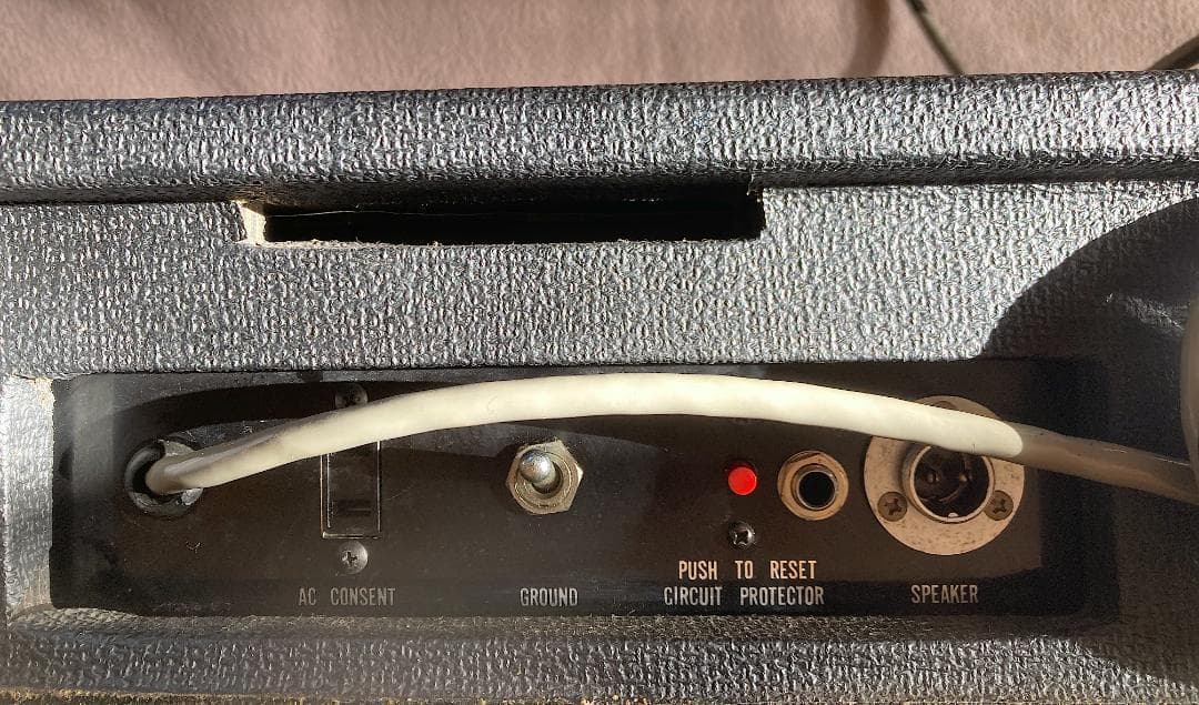 Ace Tone BASS-6 Bass Amp（100/117/230V）