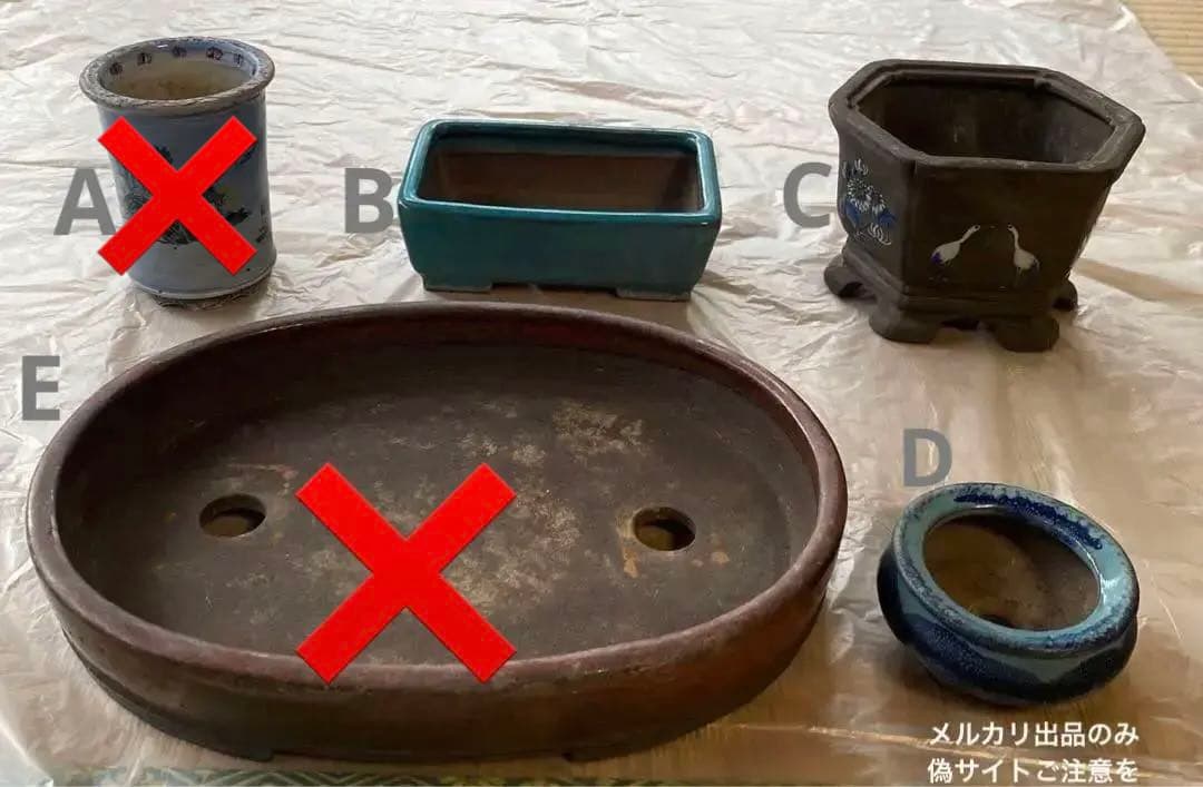 陶翠　緑寿庵　盆栽鉢　小品盆栽鉢　(B)〜(D) (A13・14・15)