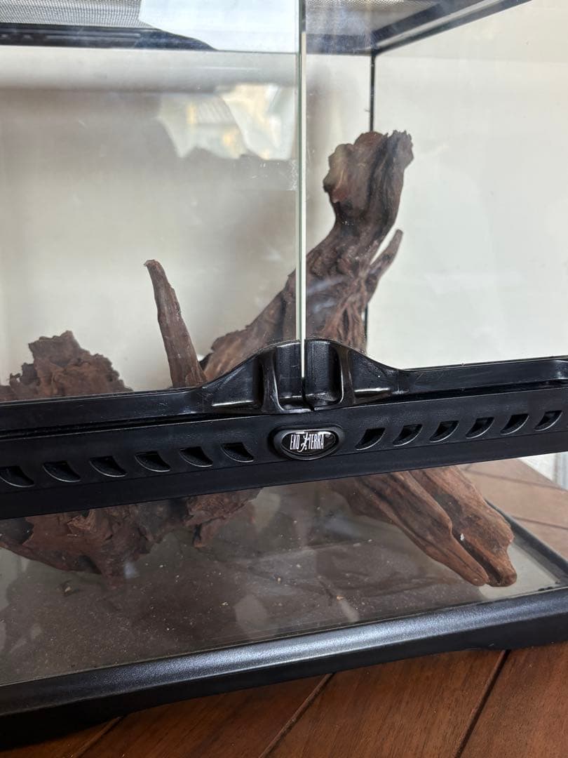 GEX グラステラリウム 3030 流木レイアウトセット　エキゾテラ ケージ