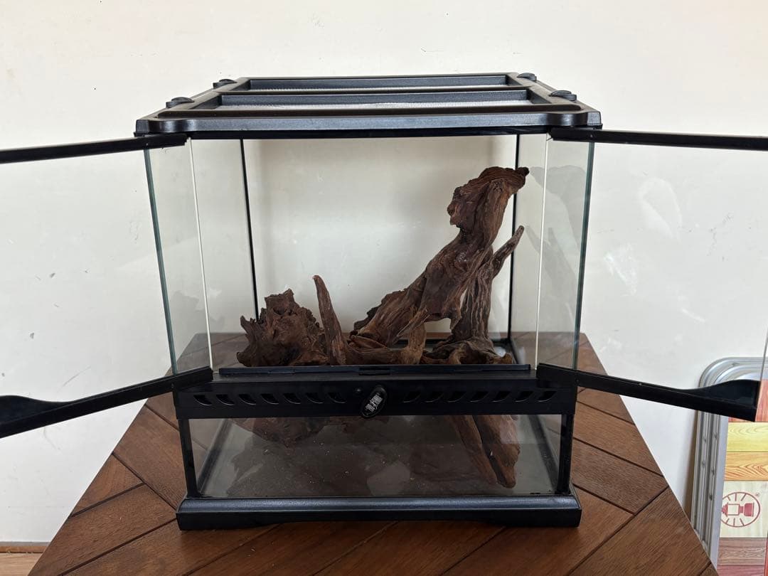 GEX グラステラリウム 3030 流木レイアウトセット　エキゾテラ ケージ