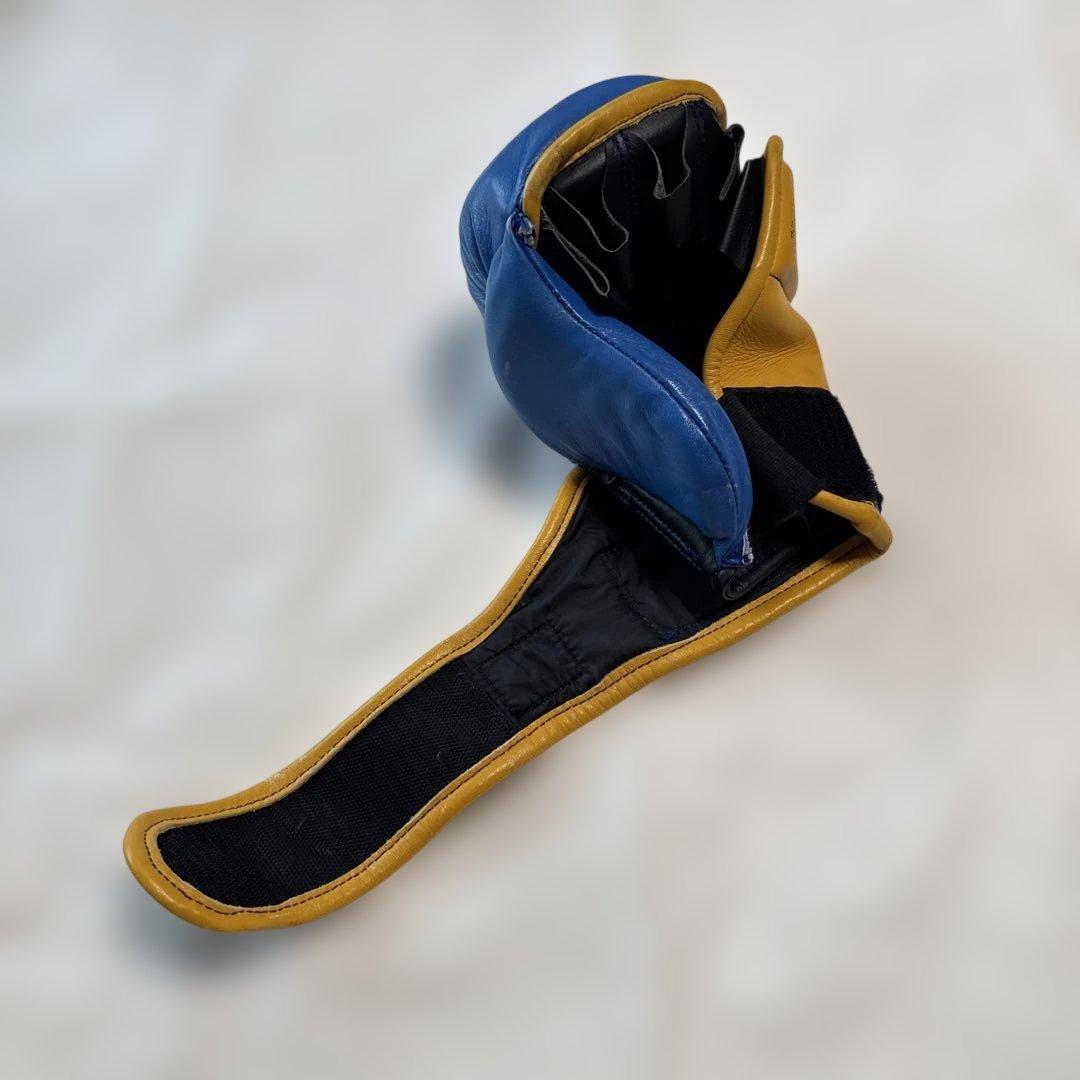 A*様 ISAMI パウンドグローブ 青