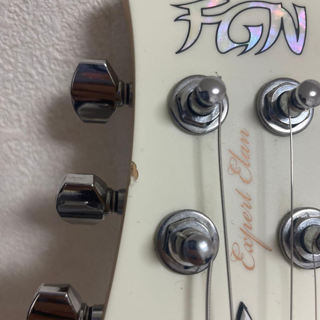 FUJIGEN EXPERT ELAN マットホワイト