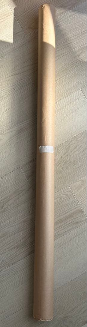 乃木坂46 遠藤さくら写真集 【可憐 】直筆サイン入り特大ポスター 当選通知書付