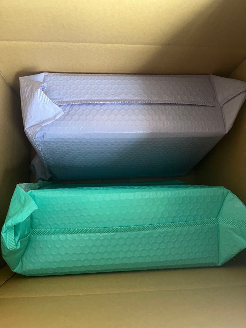 ガレージキット　ブルーアーカイブ 橘ノゾミ&橘ヒカリ