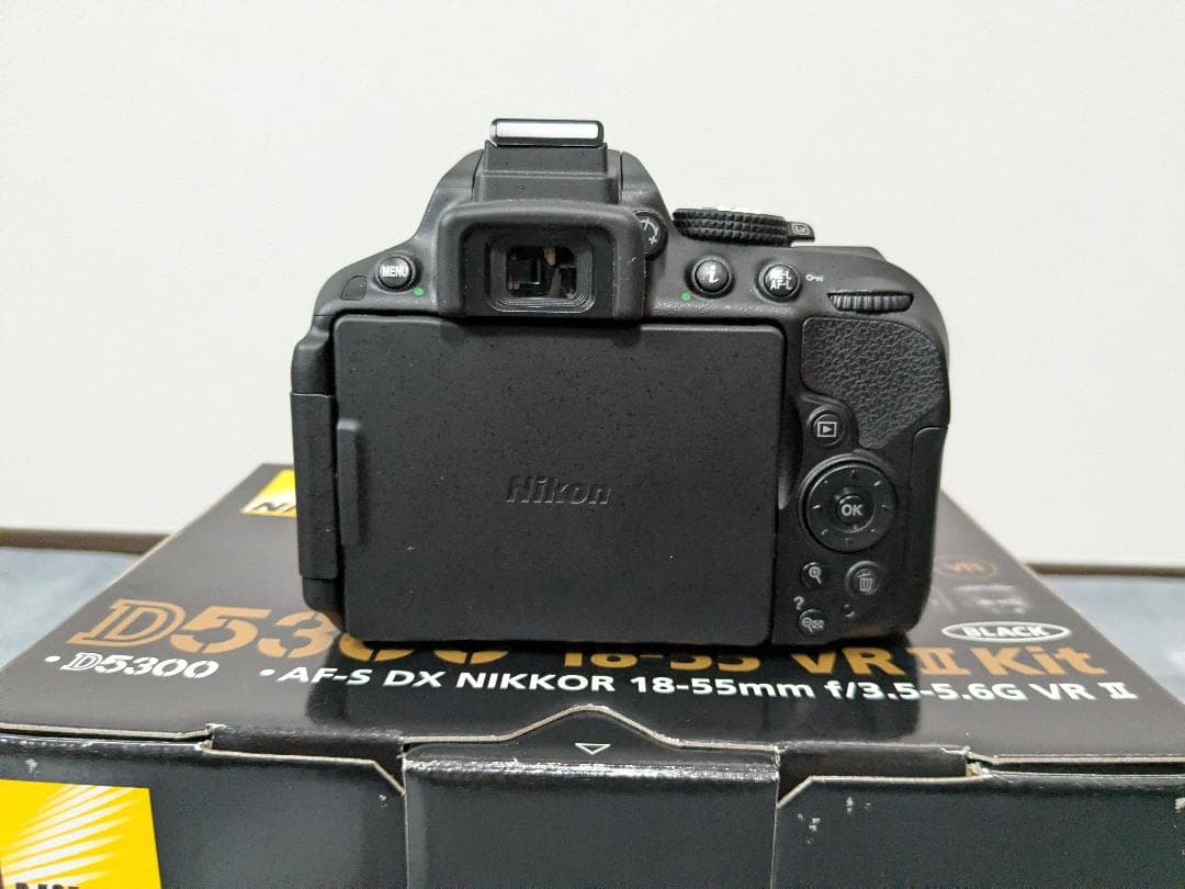 Nikon D5300 レンズキット 美品 ショット数6552 付属品完備