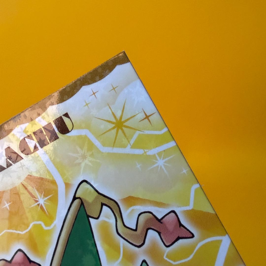 激レア ポンチョ ピカチュウ 名刺 カード メガレックウザ 限定 非売品