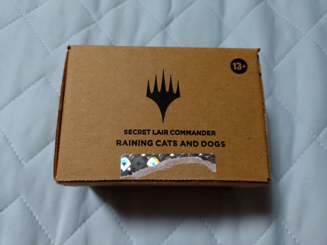 マジック：ザ・ギャザリング MTG secret lair Raining Cats and Dogs