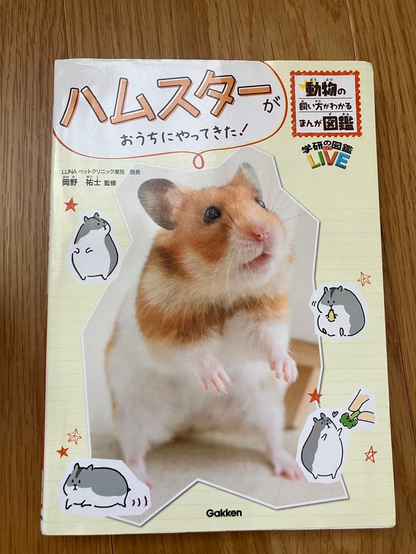 SANKOルーミィー60グランスペースクリア　その他飼育セットあり
