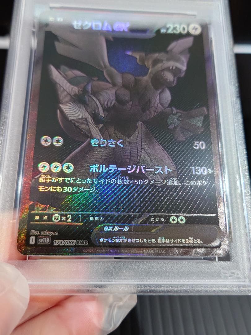 【PSA10 】【ゼクロムex】【SAR】 完美品 鑑定品PKC-A2625M