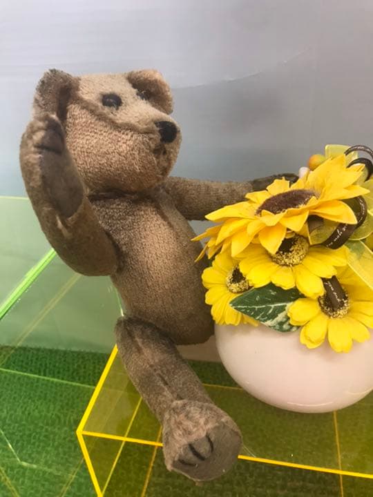 希少な年代物のアンティークテディベア　steiff社