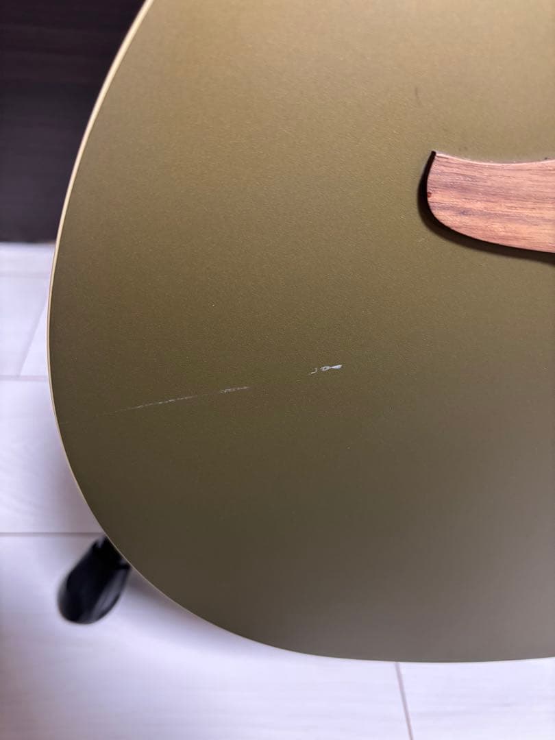 Fender Newporter Player ギグバック付