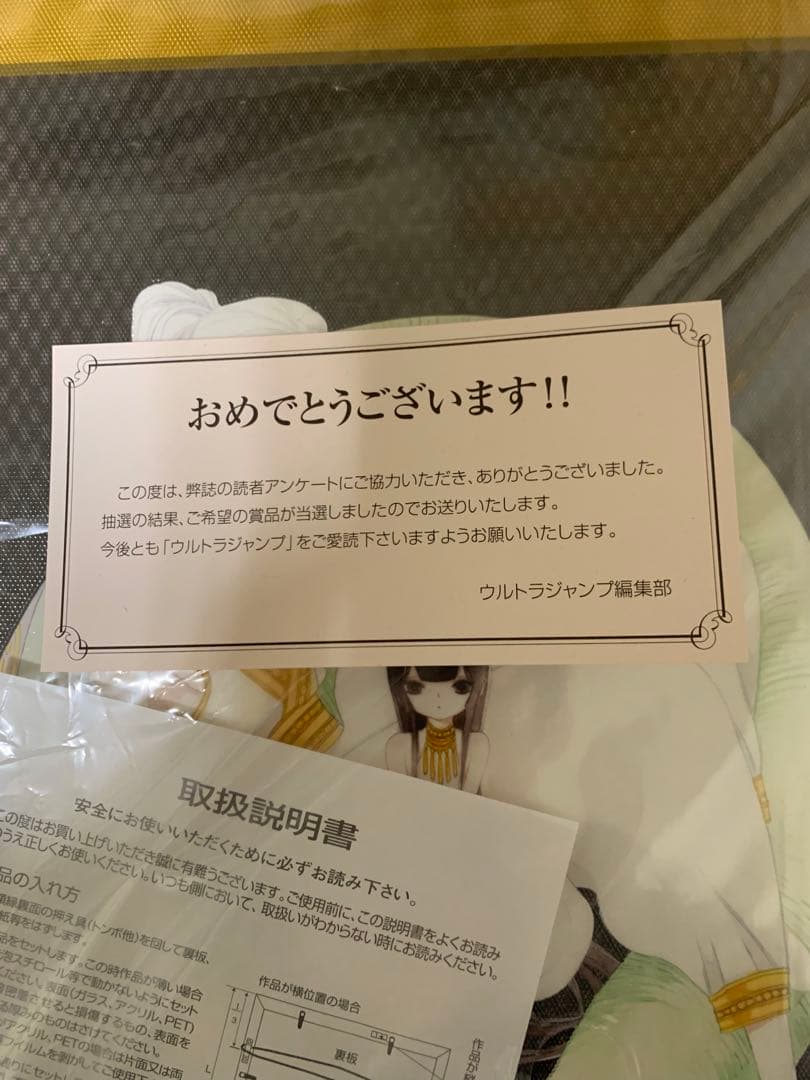 当選品　王国物語　額装入り3Dレンズアクリルプリント