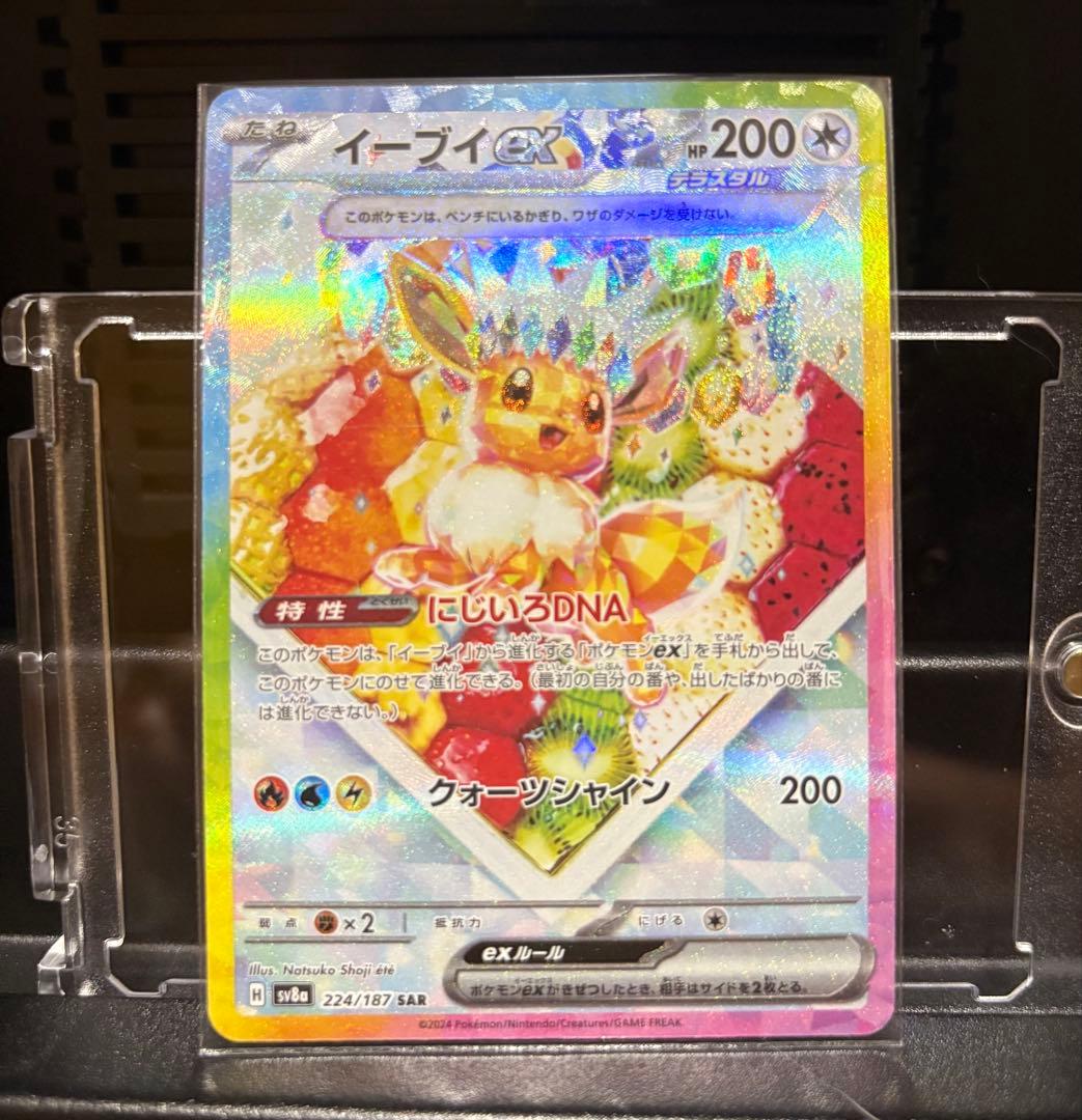 テラスタルフェス　ブイズ　SAR 10枚セット