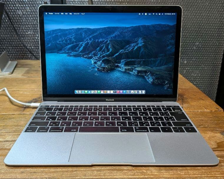 Apple MacBook12インチ Early2015 512GB 8GB