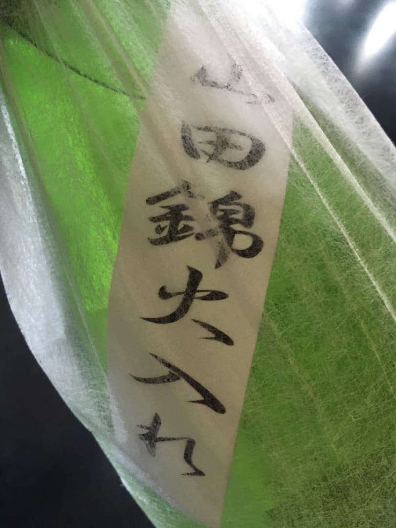 而今 純米吟醸 山田錦　1800ml一升瓶