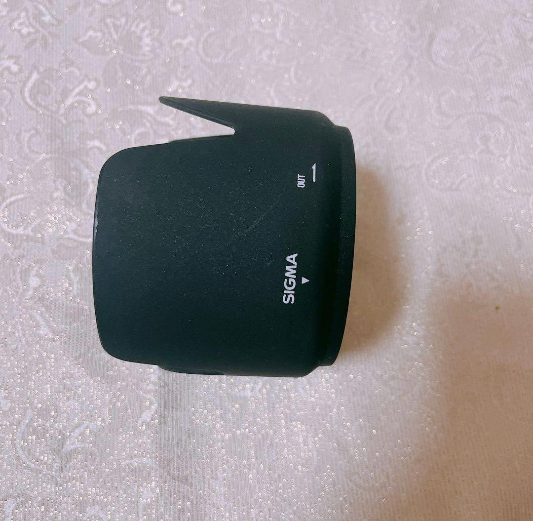 SIGMA EX 70-200mm F2.8 APO（ニコンFマウント用）