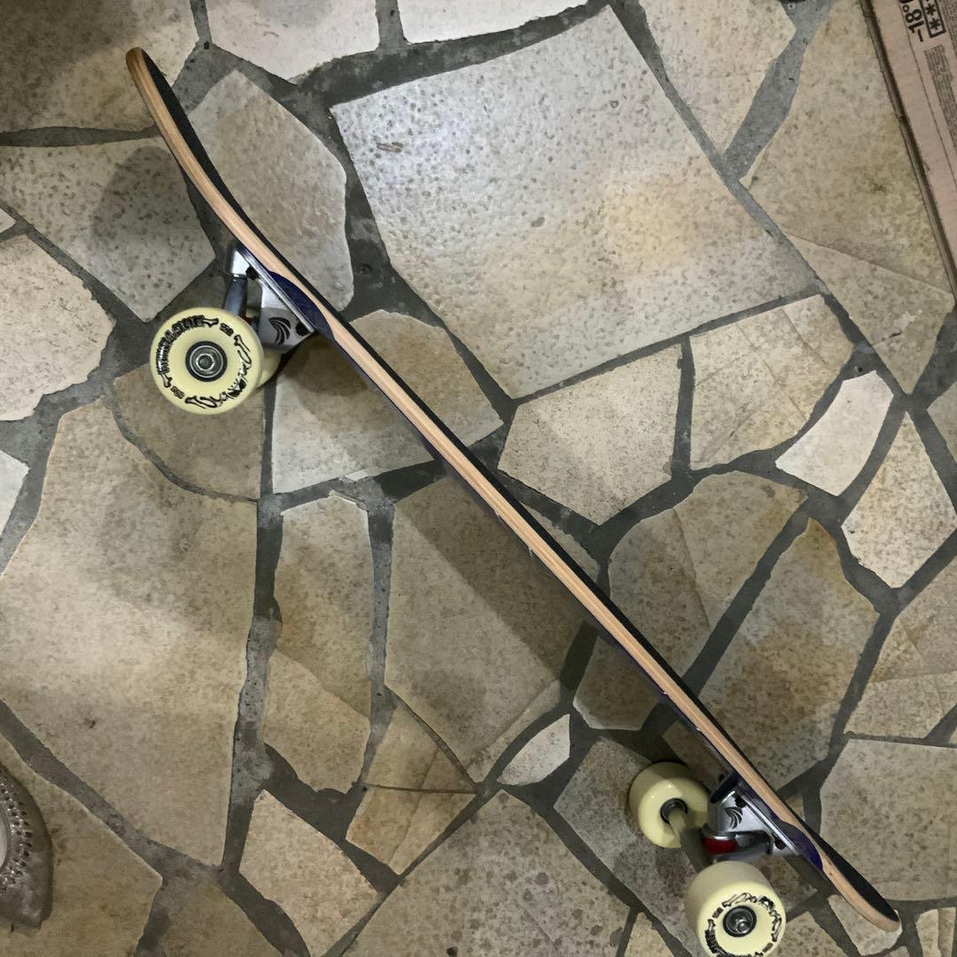 DOGTOWN ドックタウンスーサイダルスケート　DTS コンプリート90年代