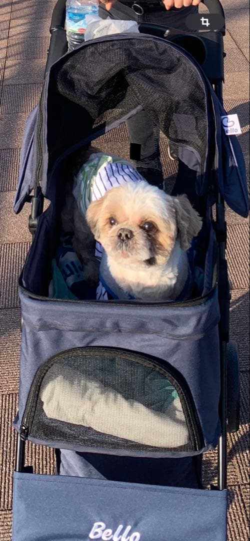 Bello 折りたたみ式犬用カート ネイビー 中型犬用