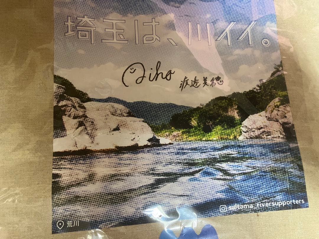 渡邉美穂 サイン チェキ バッグ