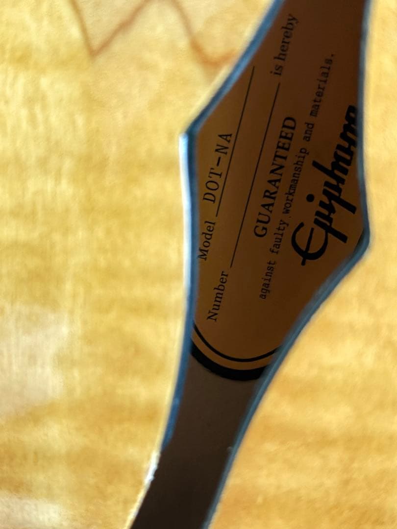 (ジャンク) epiphone Dot