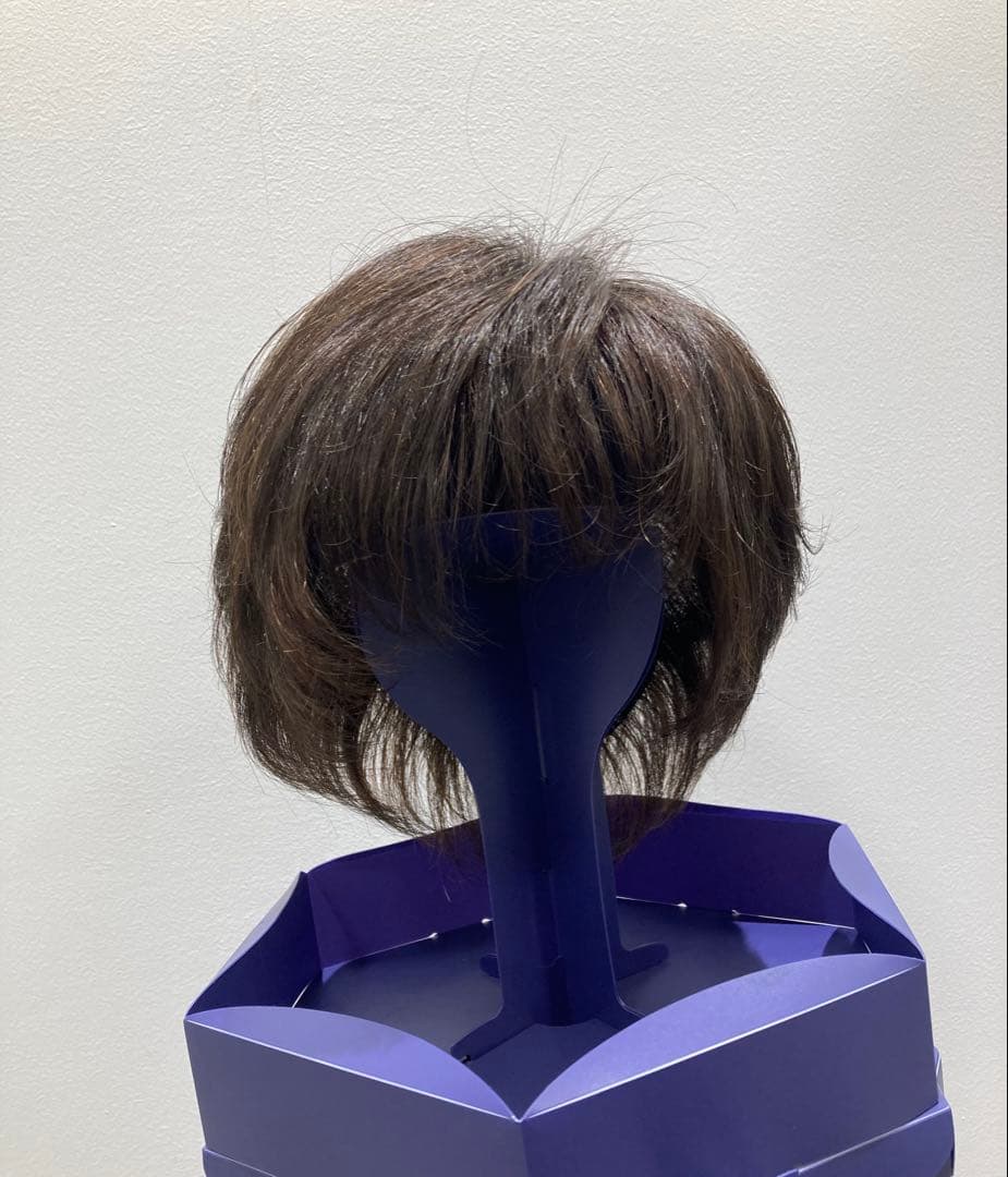 フォンテーヌ⭐︎６分ウィッグタイプ