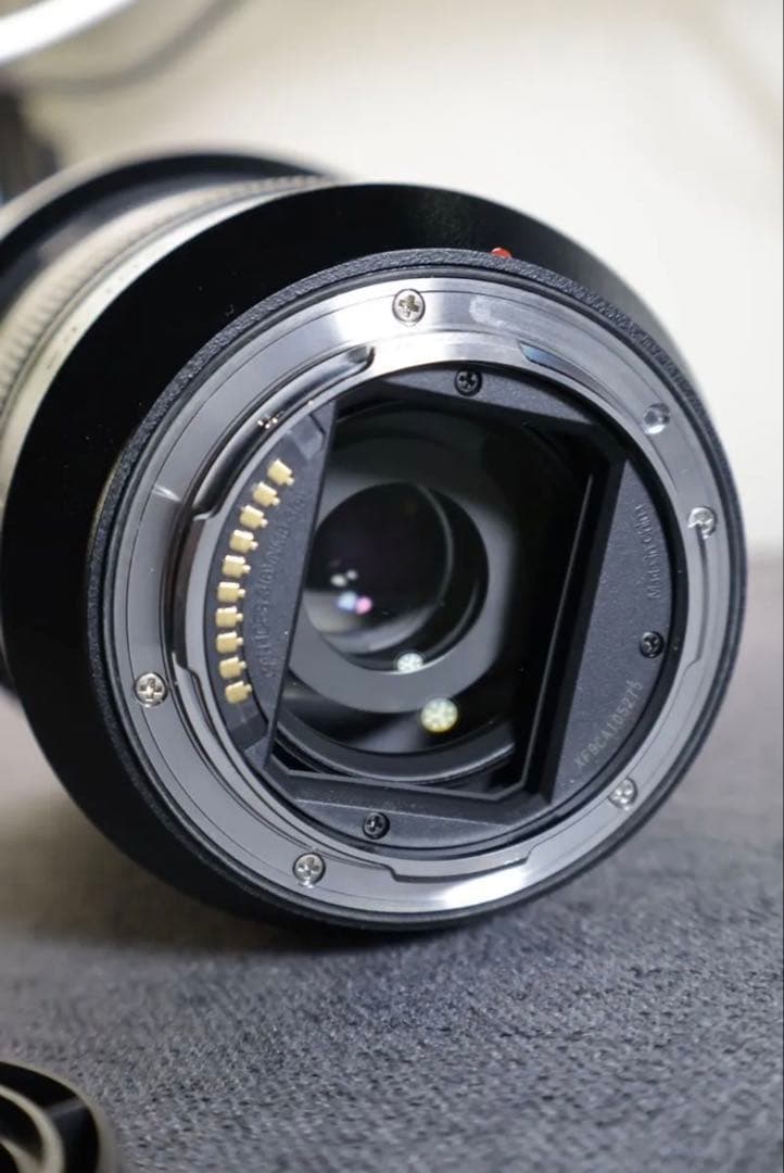 レンズ(ズーム) LUMIX S 24-105mm F4 MACRO O.I.S.