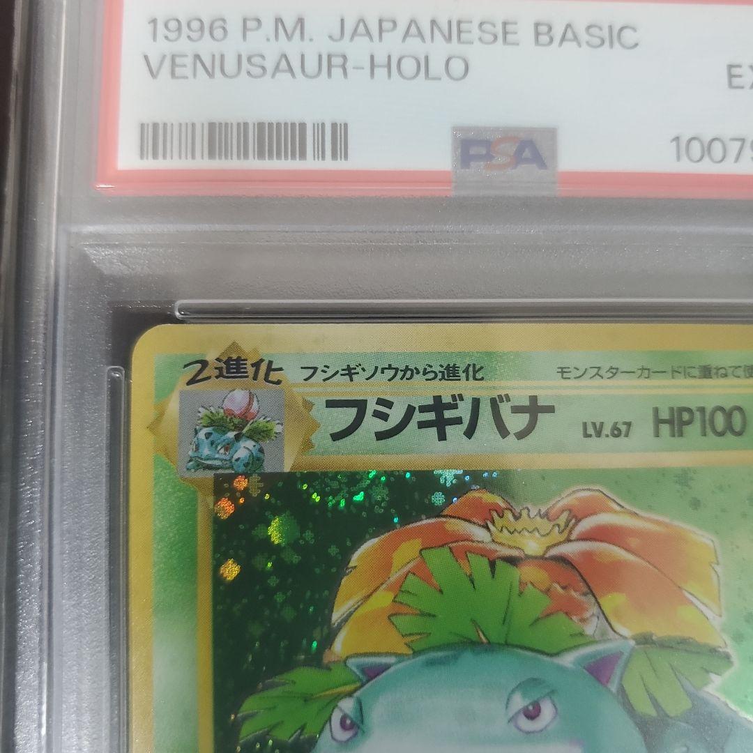 旧裏　フシギバナ　リザードン　カメックス　初代御三家 ３連番　三枚セット