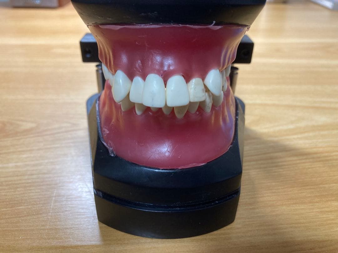 タイポドント咬合器&メタルティースセット　ロッキー（JMオーソ）型　中古