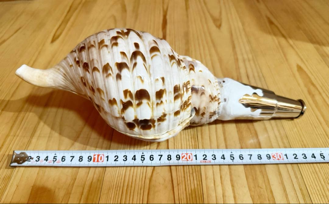 クリスマスセール❗️修験道法螺貝34㎝　山伏　熊よけ　魔除け❣️ホラガイ　ほら貝