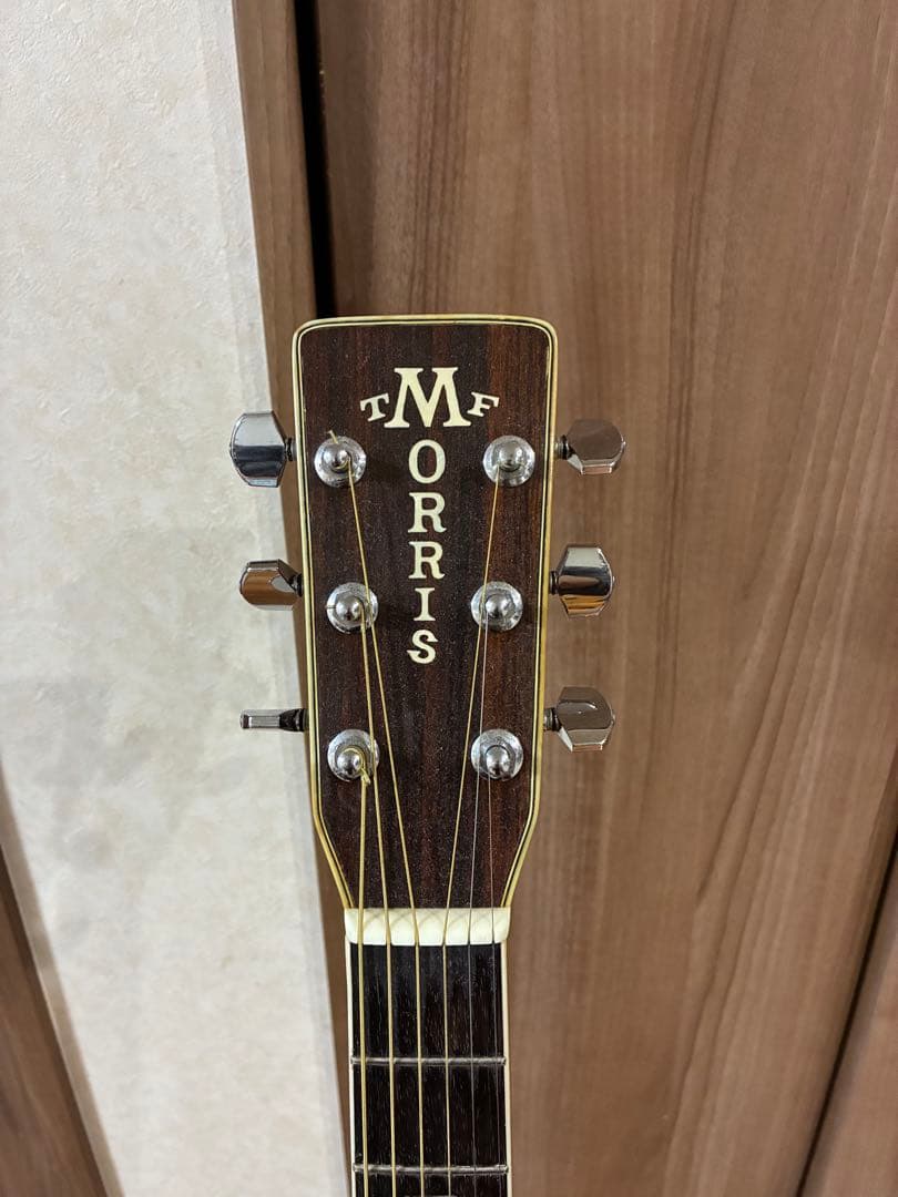 Morris W-50 アコースティックギター