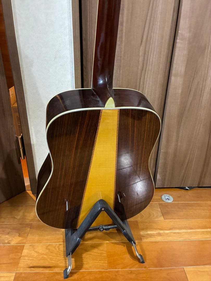 Morris W-50 アコースティックギター