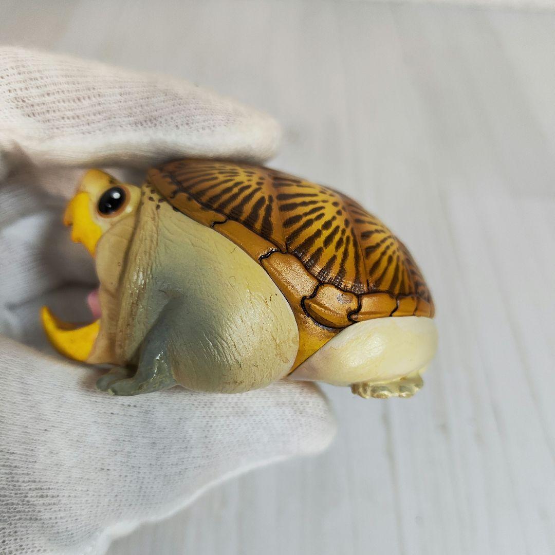 新年企画【動物の惑星】★ハラカケガメ開口（シークレット）★激レア! フィギュア