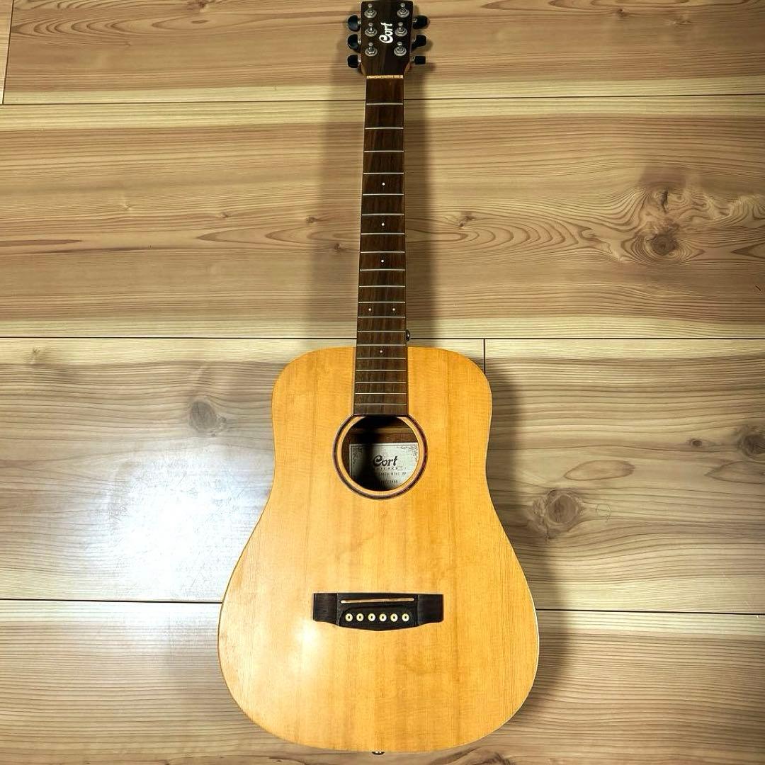 ギター cort Earth MINI