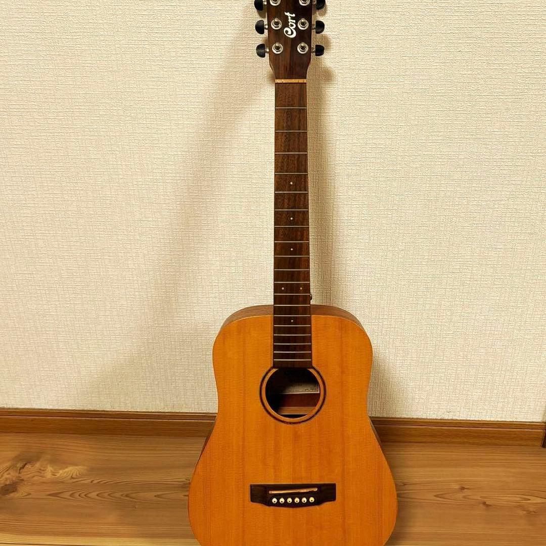ギター cort Earth MINI