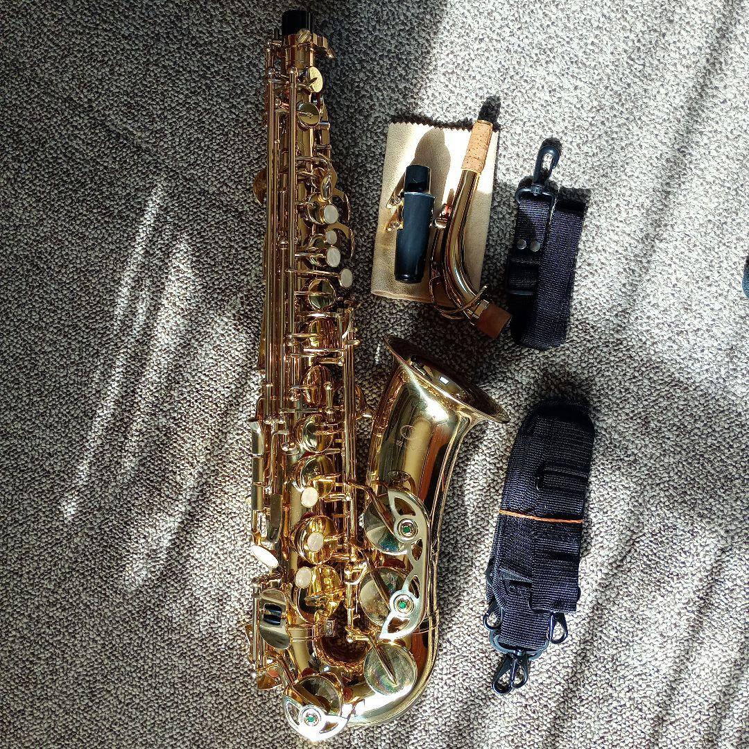 Selvaゴールドサックス 本体　【初心者用】ケース付き