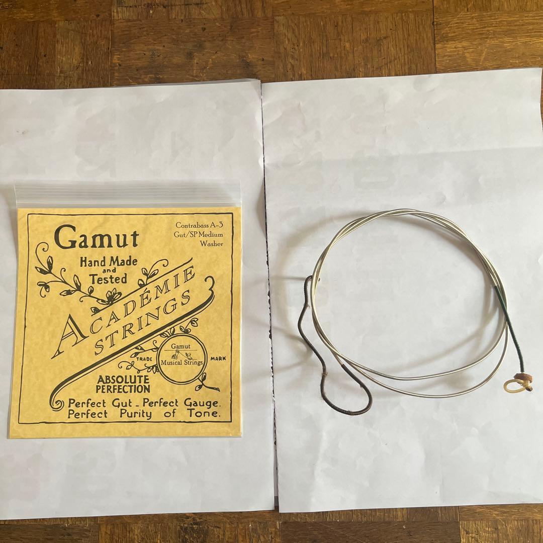 コントラバス ガット弦 Gamut A線