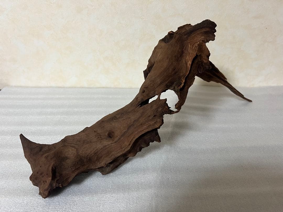 HX-061流木　マシンガンウッド　ホーンウッド アクアリウム　沈水確認済