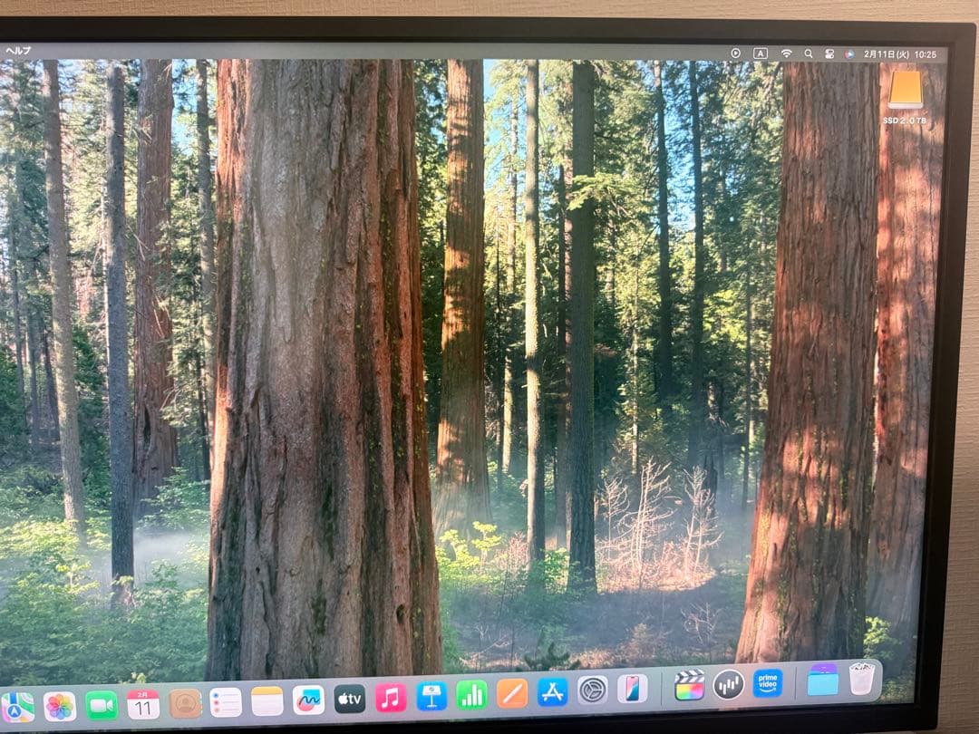 がんちゃん 　モニター ディスプレイ 32UD59-B 31.5インチ