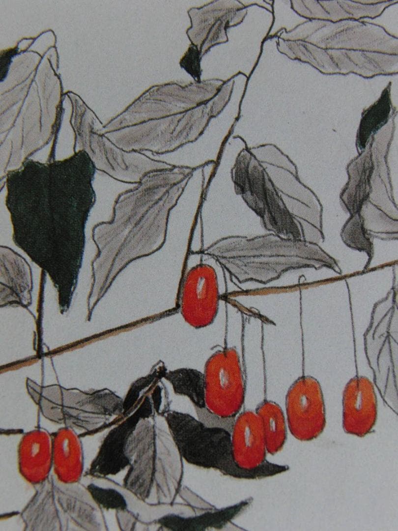 斎藤清、「想出　グミ」、希少な画集の額装画、オーダーマット付・日本製新品額入り