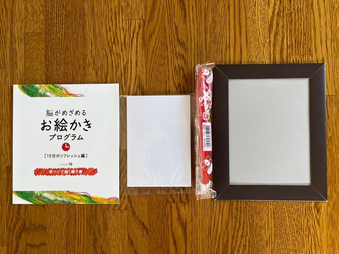 フェリシモ　脳がめざめるお絵かきプログラム［15分のリフレッシュ編］12回セット