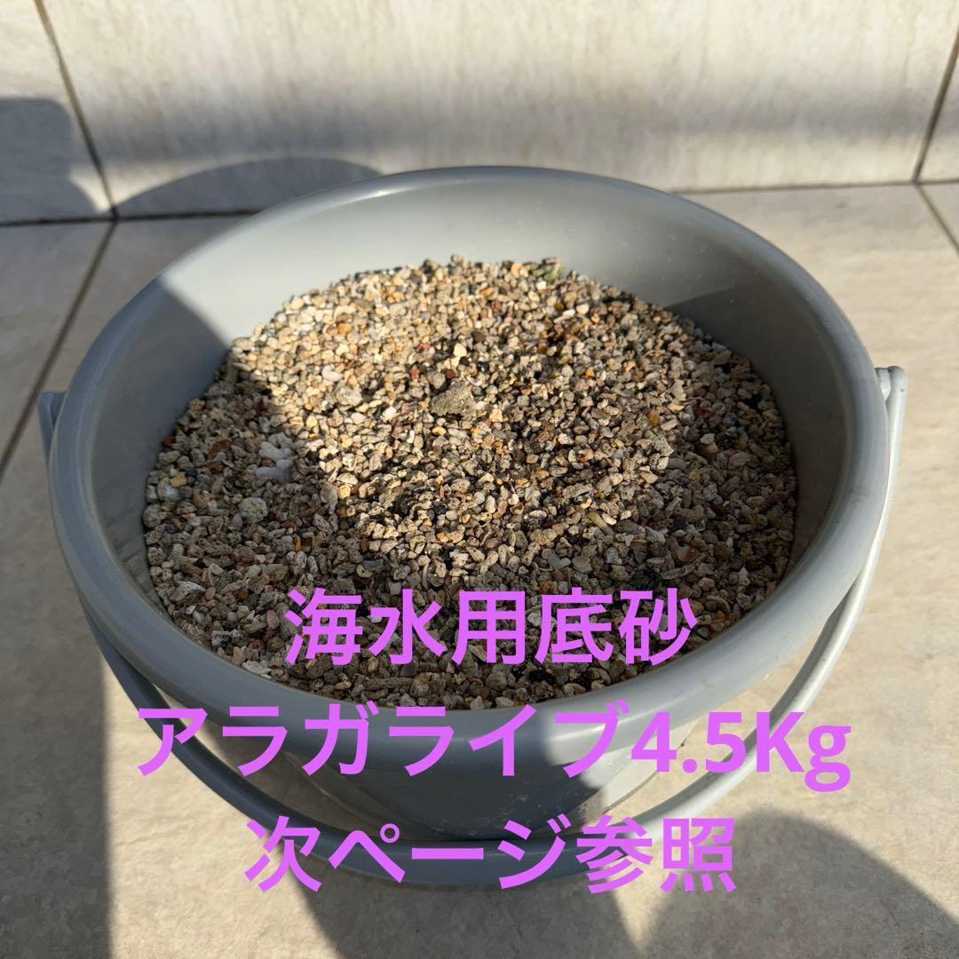 【値下げ】ガラス水槽 SET