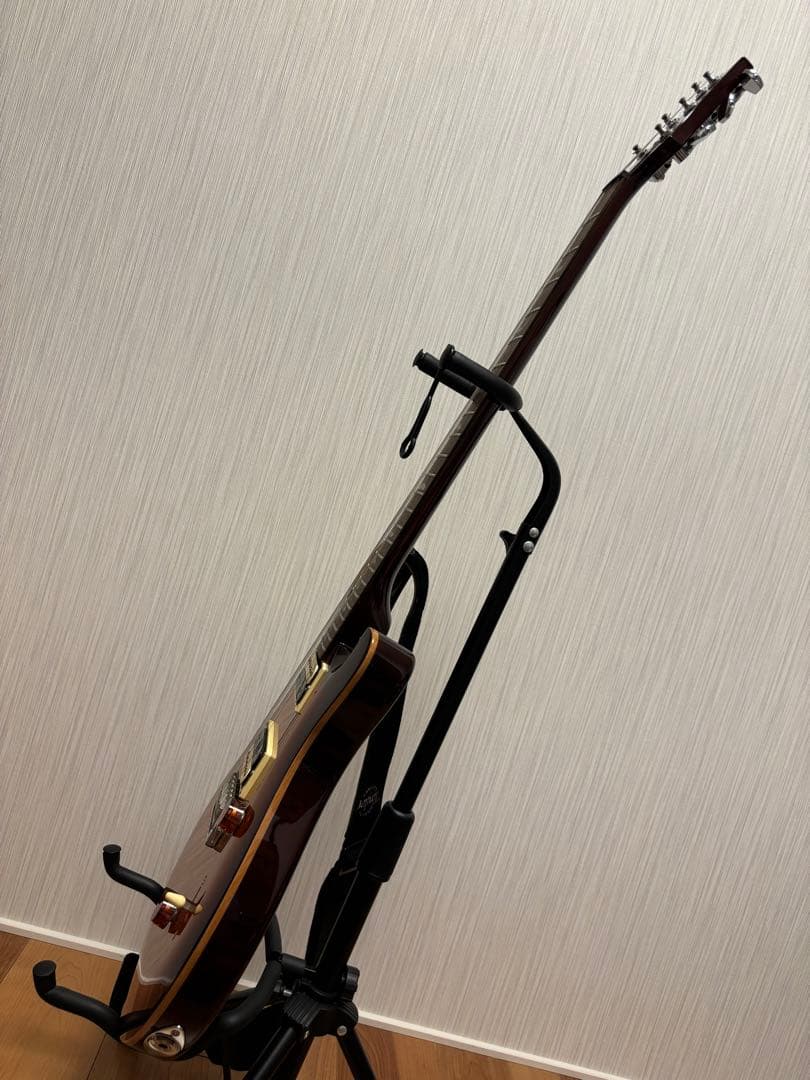 Paul Reed Smith (PRS) SE Custom 24サンバースト