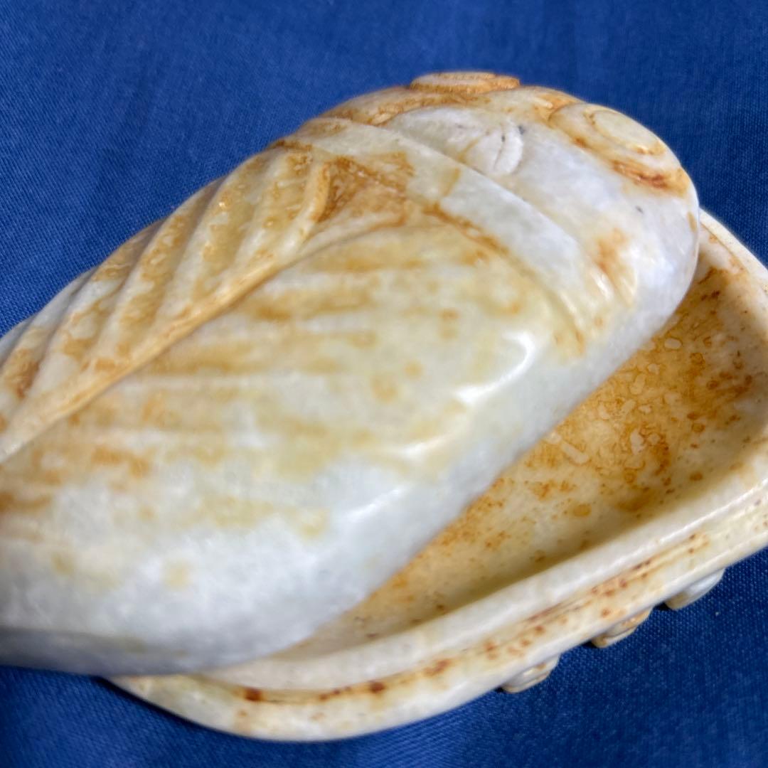 中国アンティーク 清古玉蝉 香合