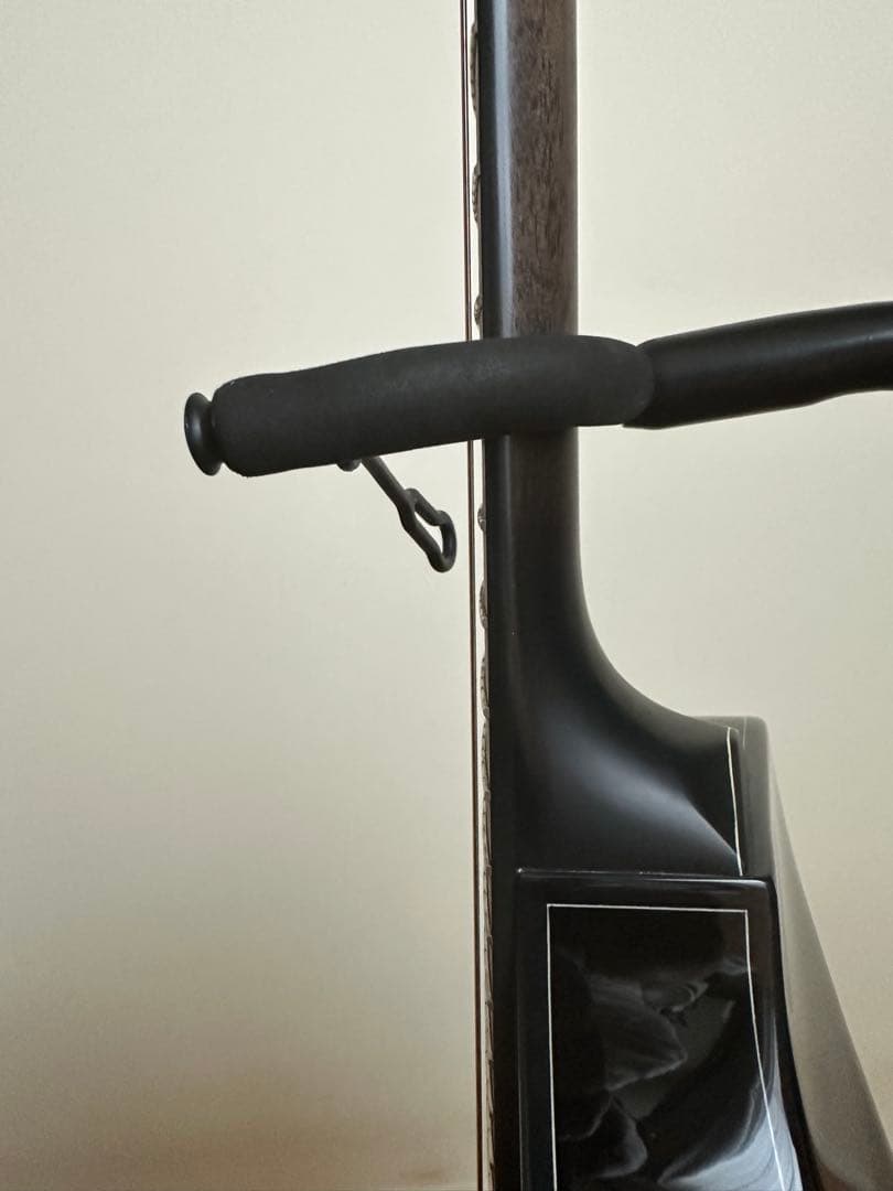 ギター Ibanez AEWC400-TKS