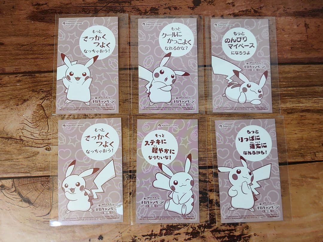 メガキャンペーン 第1弾 名刺カード 6種 ピカチュウ メガシンカ ポンチョ