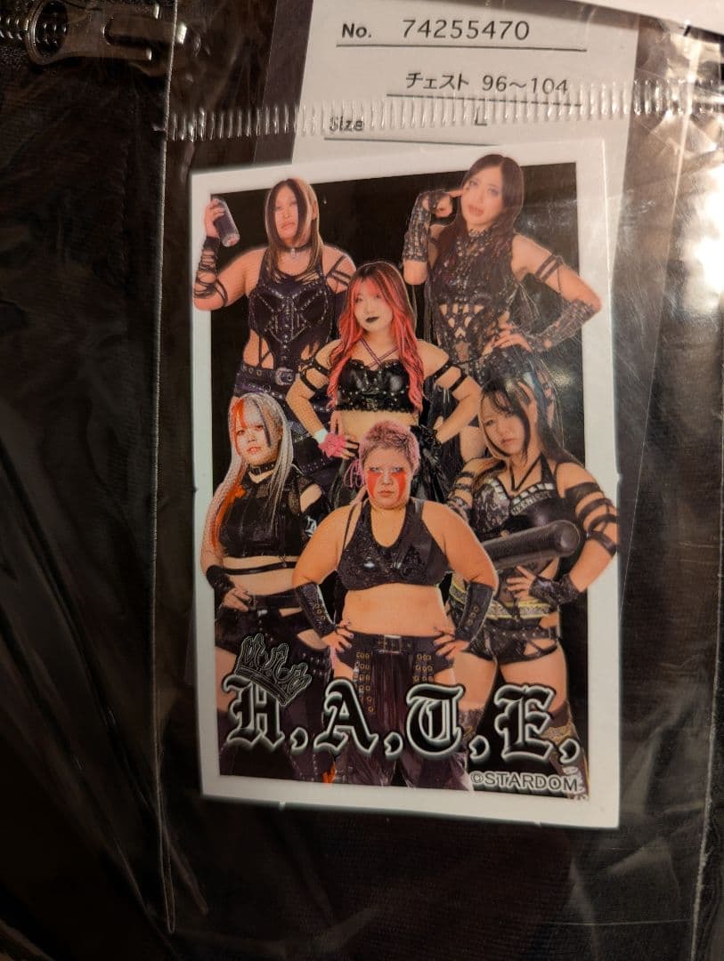 スターダム　上谷沙弥　スウェット上下　Ｌ　ジップパーカー&ジョガーパンツ