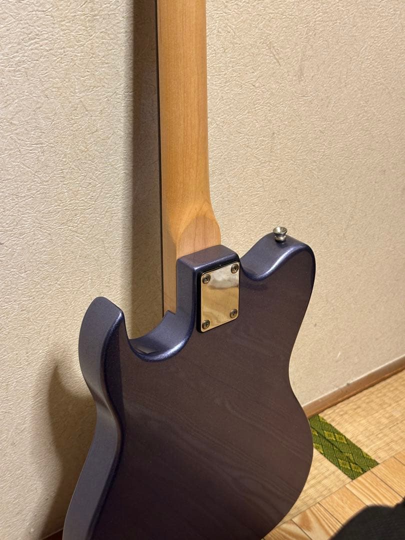 PLAYTECH プレイテック　テレキャスター系　エレキギター