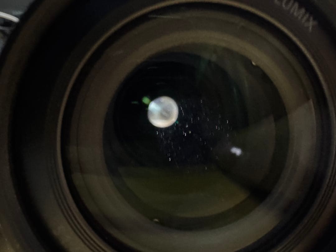 LUMIX S 28-200 mm F4-7.1(Lマウント) ※ケース無し