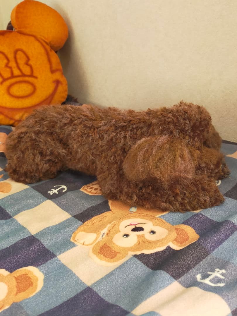 ぶんくりオーダーページ♡