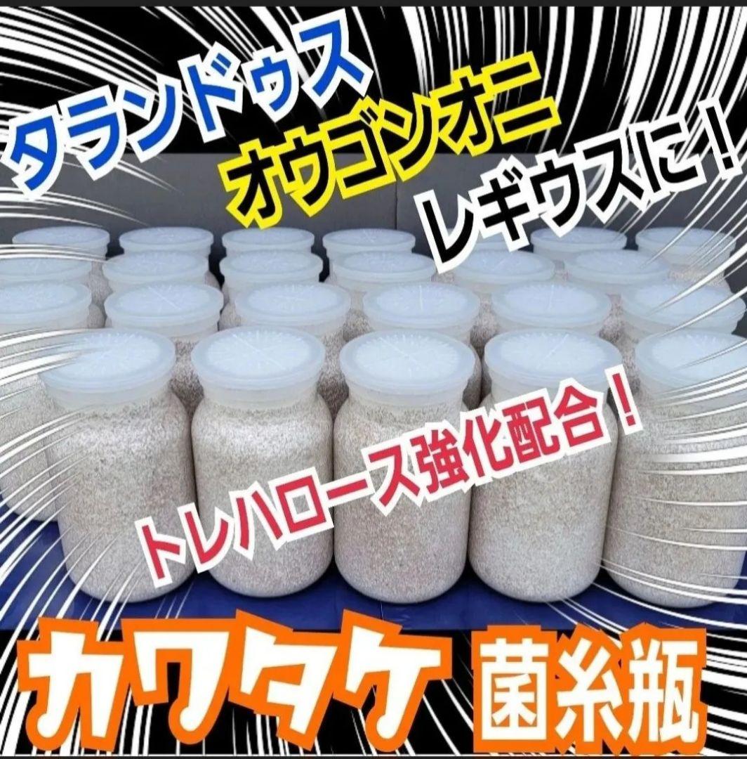 カワラタケ菌糸瓶1100ml 【８本】トレハロース強化配合！クワガタ全般に使える